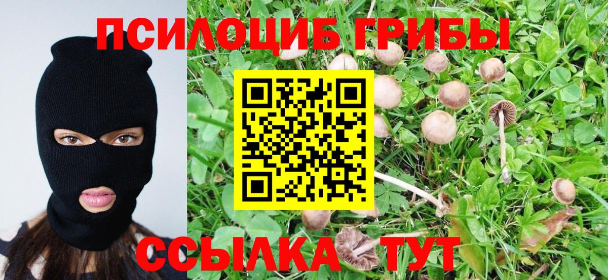 Псилоцибиновые грибы мицелий Верхняя Салда